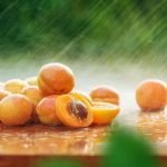 Gardens Contemporary Front Garden Design Ideas Inspiring Contemporary Front Garden Ideas