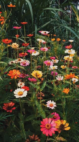 Gift Ideas for a Master Gardener 1 Beautiful gardening tool set, rare plant seeds, and custom planter pots - perfect gift ideas for a master gardener