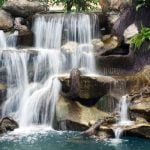 Urban Gardening Ideas Using Plastic Bottles maximizing space and promoting sustainability