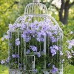 Inspiring Home and Garden Design Tips