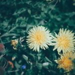 Maximizing Space with Style