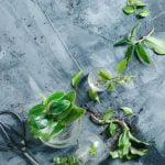 Festive decor, recipes, and crafts for the holidays