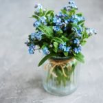 Gardening Father'S Day Gift Ideas Perfect Father's Day Gift Ideas