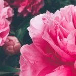 Stylish beadboard designs for upgrading your home interior