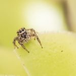 Earthy colors, plants, tools, and a timeless design to represent your brand