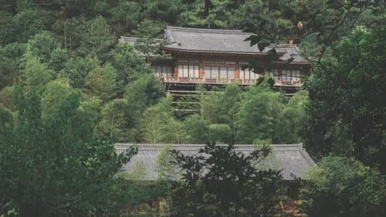 Sri Lankan Gardening Ideas 1 Sri Lankan-inspired garden designs with lush tropical plants and vibrant blooms, creating a serene oasis