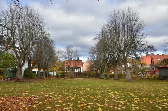 Balcony Vegetable Gardens Ideas 1 Bright and creative balcony vegetable garden ideas for urban spaces