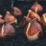 7 Kitchen Ideas Better Homes & Gardens 1959 7 Kitchen Ideas for a Timeless Home Transformation