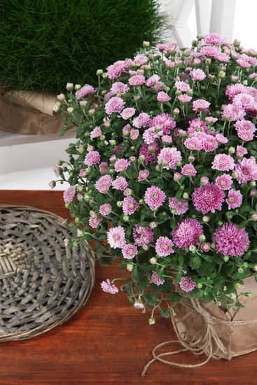 Better Homes and Gardens Holiday Ideas 7 Beautifully decorated holiday ideas from Better Homes and Gardens for your home and garden
