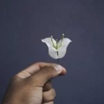 Gift Ideas for Gardening Lovers Browse our selection of gift ideas for gardening lovers, from handy tools to beautiful planters