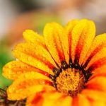 Better Homes & Gardens Christmas Ideas 1963 Vintage BETTER HOMES & GARDENS CHRISTMAS IDEAS 1963 cover with festive holiday inspiration