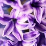 Tips, Tricks, and Inspiration