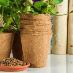 Ideas for Flower Container Gardens Ideas for Flower Container Gardens