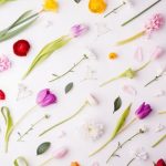 Ideas for Container Vegetable Gardens Inspiring Ideas for Container Vegetable Gardens to Create a Green Oasis on Your Patio