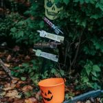 Front Gardens Ideas Nz Front gardens inspiration in New Zealand