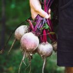 Gardening Ideas for 12 X 12 Area Explore creative gardening ideas for 12 x 12 area layouts to inspire your outdoor space