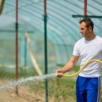 Explore creative gardening path ideas using pathways, landscaping, and unique plants for inspiration