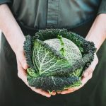 Get started with gardening for beginners - a great idea for cultivating green thumbs