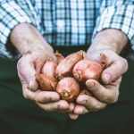 Gardening Ideas for Assisted Living Inspiring Gardening Ideas for Assisted Living Residents