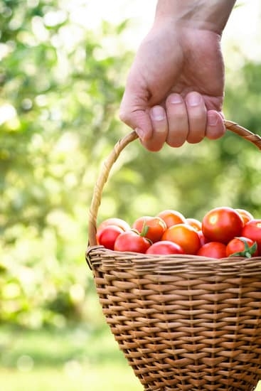 Container Gardening Ideas for Spring 7 Vibrant flowers, herbs, and vegetables for small spaces