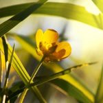 maximizing space with innovative designs