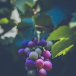 Explore creative VERTICAL VEGETABLE GARDENS IDEAS for small spaces and stunning designs