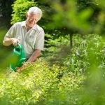 Maximizing Space and Yield