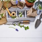 Gardening Cheap Ideas Gardening cheap ideas for budget-friendly outdoor spaces