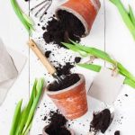 Ideas for Gardening Club With High School Students Engage high school students in gardening club activities to foster teamwork and green thumb skills