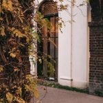 Discover innovative home vegetable gardening ideas for a flourishing backyard oasis