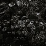 Creative and eye-catching gardening flyer ideas to inspire your next project