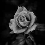 Ideas for Patios and Gardens Creative ideas for patios and gardens to enhance your outdoor living space