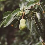 transforming challenging terrain into stunning outdoor spaces