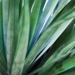 Decking Small Gardens Ideas Transform small gardens with creative decking ideas - perfect for maximizing space and enhancing outdoor appeal