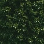 vibrant blooms & greenery creating inviting entrance appeal