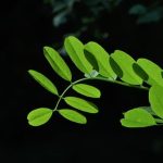 Create a cozy outdoor space with Geavel patio ideas perfect for small gardens. #GeavelPatioIdeas