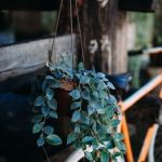 Transform your backyard with creative SLOPE GARDENS IDEAS for a stunning outdoor oasis