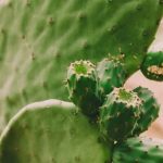 Explore creative ways to incorporate wood project ideas for gardens into your outdoor space