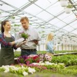 Enhance your outdoor space with creative landscaping along the perimeter fence