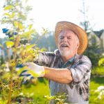 Inspirational Gardening Names Ideas for Your Blooming Garden Design - Perfect for Green Thumbs