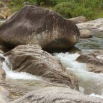 maximizing space with creative layouts and flora