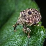 Birthday Card Ideas for Your Gardening Teacher Colorful handmade birthday card ideas for your gardening teacher - perfect for a green-thumbed celebration