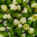 Gardening Ideas for Small Balcony Usa Transform a small balcony into an oasis with these USA gardening ideas for small spaces