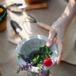 Diy Fairy Gardens Ideas Enchanting miniature landscapes for a touch of whimsy in your garden