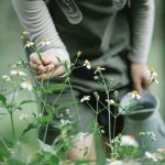 maximizing space with plant variety and unique landscaping designs