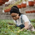 Front yard rock garden ideas - small space landscaping with rocks, succulents, and native plants