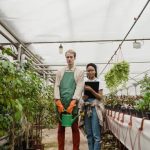 Creative and Space-Saving Garden Design Ideas for Small Gardens - Inspiring Images