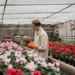 Vibrant July Gardening Ideas for a colorful and blooming garden this summer