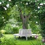 maximizing space with innovative landscaping techniques