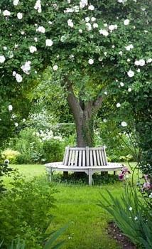 Design Ideas for Small Back Gardens 3 maximizing space with innovative landscaping techniques